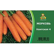 Морковь 2г