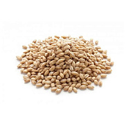 Крупа Перловая Далан 800г