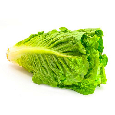Салат зеленый 1кг