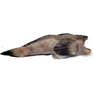 Рыба Бычок без головы 1кг свежемороженая