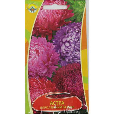 Семена цветов Астра/Маргаритка/Петуния/Бархатцы/Кермек