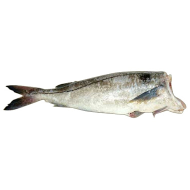 Рыба с/м Треска 0,3-0,5  1кг