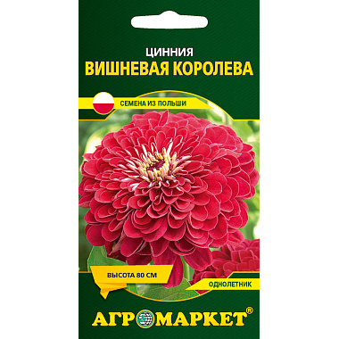 Цинния Энви Вишневая королева 1г