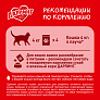 Корм для кошек Дарлинг 75г утка в подливе