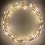 Гирлянда LED Нить 10м 220V теплый/мультиколор