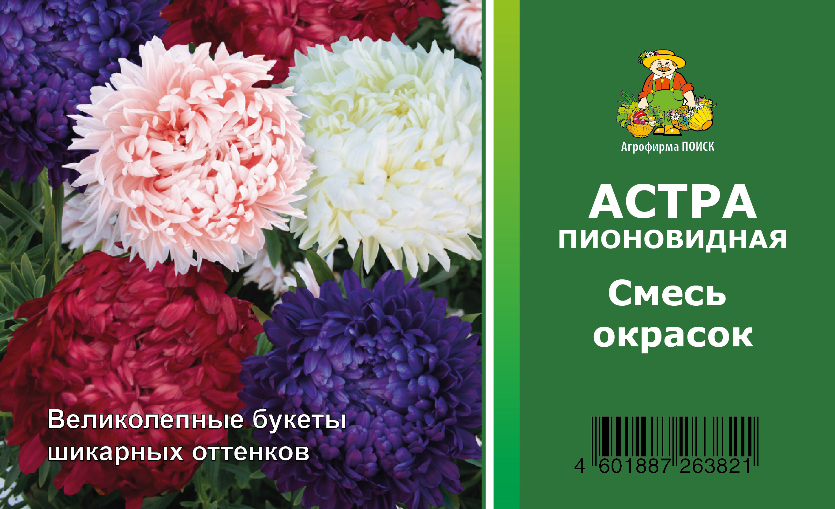 Астра пионовидная Смесь окрасок 3г купить в магазине Доброцен